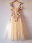 Champagne Corset Floral Tulle Prom Dress, Cute A Line Homecoming Dresses