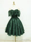A Line Lace Short Prom Dress Prom Homecoming Dresses, 6229