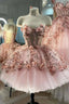 Princess Sparkly Sweetheart Prom Dress with 3d Flowers, Pink Quinceanera Dresses