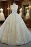 Always Remember Wearing Champagne Ball Gowns Tulle Embroidery Pleats Wedding Dresses