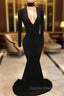 Black Lace V Neck Prom Gown Mermaid Long Sleeve Prom Gown