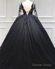Black Tulle Sheer Neck Appliques Ball Gown Dress