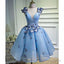 Sky Blue Butterfly Short Homecoming Dress, Prom Dresses