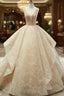 Champagne Ball Gown Lace Tulle Sequins V-neck Backless Wedding Dresses
