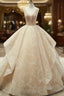 Champagne Ball Gowns Lace Tulle Sequins V Neck Backless Wedding Dresses