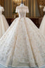 Champagne Ball Gowns Sequins Short Sleeve Long Train Wedding Dresses