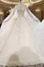Champagne Ball Gowns Tulle Appliques Beading Wedding Dresses With Train