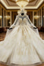 Champagne Ball Gowns Tulle Appliques High Neck Long Sleeve Backless Wedding Dresses