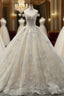 Champagne Ball Gowns Tulle Appliques With Beading Off The Shoulder Wedding Dresses