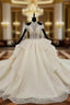 Champagne Ball Gowns Tulle Halter Appliques Beading Sequins Wedding Dresses