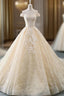 Champagne Ball Gowns Tulle Lace Appliques Wedding Dresses With Train