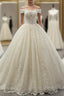 Champagne Ball Gowns Tulle Lace Appliques Wedding Dresses