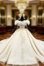 Champagne Ball Gowns Tulle Off the Shoulder Appliques Beading Wedding Dresses