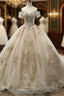 Champagne Ball Gowns Tulle Off The Shoulder Appliques Wedding Dresses