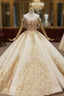 Champagne Ball Gowns Tulle Off the Shoulder Lace Appliques Wedding Dresses