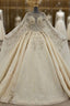 Champagne Ball Gowns Tulle Sequins Beading Wedding Dresses With Long Train