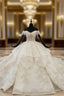 Champagne Ball Gowns Tulle Sequins Off the Shoulder Appliques Beading Luxury Wedding Dresses