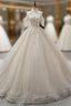 Champagne Ball Gowns V Neck Tulle Sequins Appliques Backless Wedding Dresses