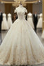 Champagne BallGown Tulle Appliques Off The Shoulder Wedding Dresses