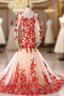Champagne Mermaid Tulle Res Appliques Long Sleeve Prom Dresses