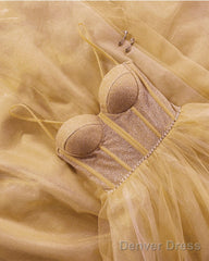 Champagne Sparkly Sweetheart Corset Tulle Dress
