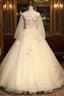 Champagne Tulle V Neck Long Sleeve Appliques Beading Quinceanera Dresses