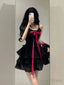 Chic A Line Spaghetti Straps Black Homecoming Dress Birthday Dresses Birthday Outfits