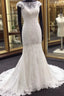 Classic Cap Sleeves White Illusion neck Lace Mermaid Wedding Dresses with Court Train