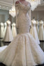 Classic Mermaid Long Sleeves Bridal Gowns Lace Wedding Dresses with Sleeves
