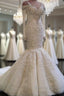 Classic Mermaid Long Sleeves Bridal Gown Lace Wedding Dresses with Sleeves