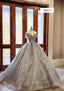 Modern Sparkly Grey Silver Long Or Cap Sleeves Ball Gowns Wedding Prom Dresses With Glitter Tulle