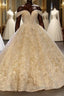 Elegant Long Ball Gowns Off the shoulder Tulle Lace Wedding Dresses
