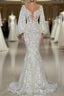 Elegant Long Mermaid V-neck Tulle Lace Wedding Dresses with Sleeves
