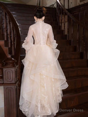 Champagne Tulle Long Sleeve Evening Party Dress