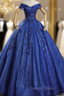 For You Royal Blue Ball Gowns Sequins Beading Appliques Quinceanera Dresses