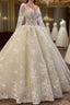 Glamorous Long Sleevess Lace A line Bridal Gown Pirncess Wedding Dresses