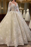 Glamorous Long Sleevess Lace A Line Bridal Gowns Pirncess Wedding Dresses