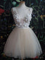 Ivory Tulle V-neck Appliques Homecoming Dress