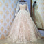Long Sleeves Ball Gown Lace Wedding Dresses Champagne