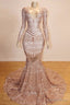 Long Sleeves V Neck Mermaid Prom Dresses Sequins Long Chiffon