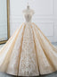 Luxurious Champagne Ball Gowns Tulle Lace Appliques Backless High Neck Wedding Dresses