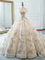 Luxury Champagne Ball Gowns Appliques Long Train Wedding Dresses