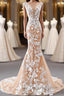Mermaid Open Back Champagne Lace Long Prom Dress, Champagne Lace Prom Dress, Champagne Prom Dresses
