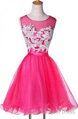 New Appliqued A-Line Tulle Scoop Short Homecoming Dresses See Through