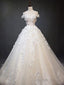 Off Shoulder Light Champagne Lace Aline Ball Gowns Wedding Dresses