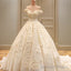 Off The Shoulder Lace Wedding Dresses Ball Gown