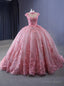 Pink Tulle High Neck Cap Sleeve Appliques Prom Dresses