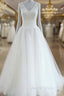 Plus Size Princess V-Neck Wedding Dresses Lace Embroidery