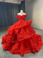Red Ball Gowns Tulle Off the Shoulder 3D Appliques Prom Dresses