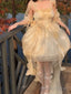 Sexy High Low Spaghetti Straps Champagne Holiday Dress Night Dresses Birthday Outfits